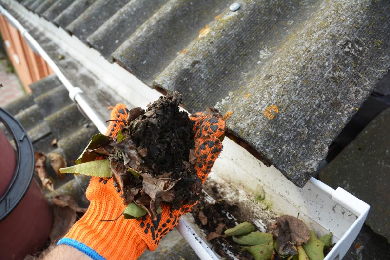 Close-up of Gutter Debris