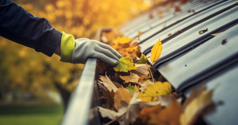 Gutter Maintenance in Fall