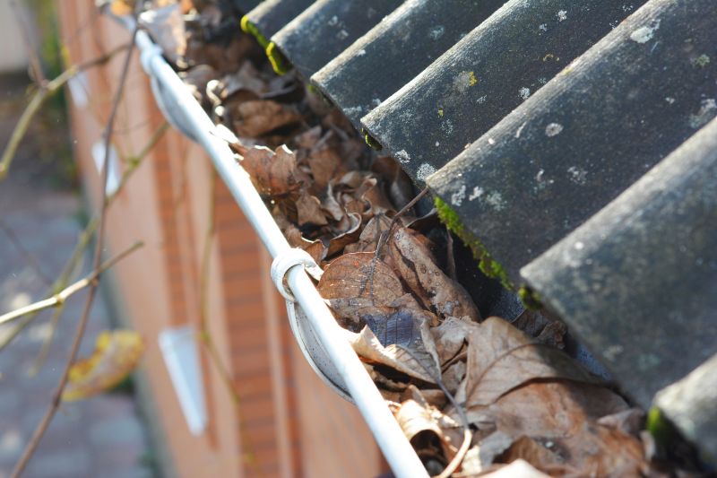 Clogged Gutters