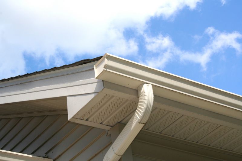 Gutter Replacement Options
