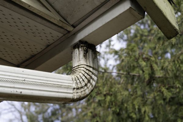 Roof Drain Replacement in Bay City